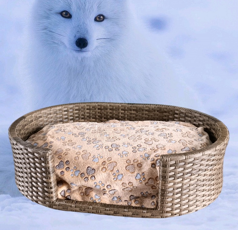 Oval Hand-Woven Pet Bed